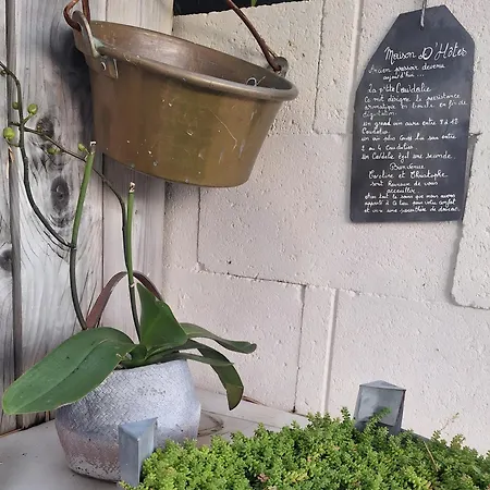 La P'tite Caudalie, D'hotes 3*