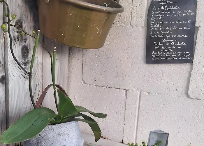 La P'tite Caudalie, D'hotes 3*