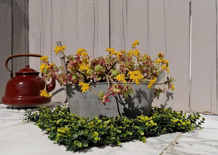 La P'tite Caudalie, D'hotes